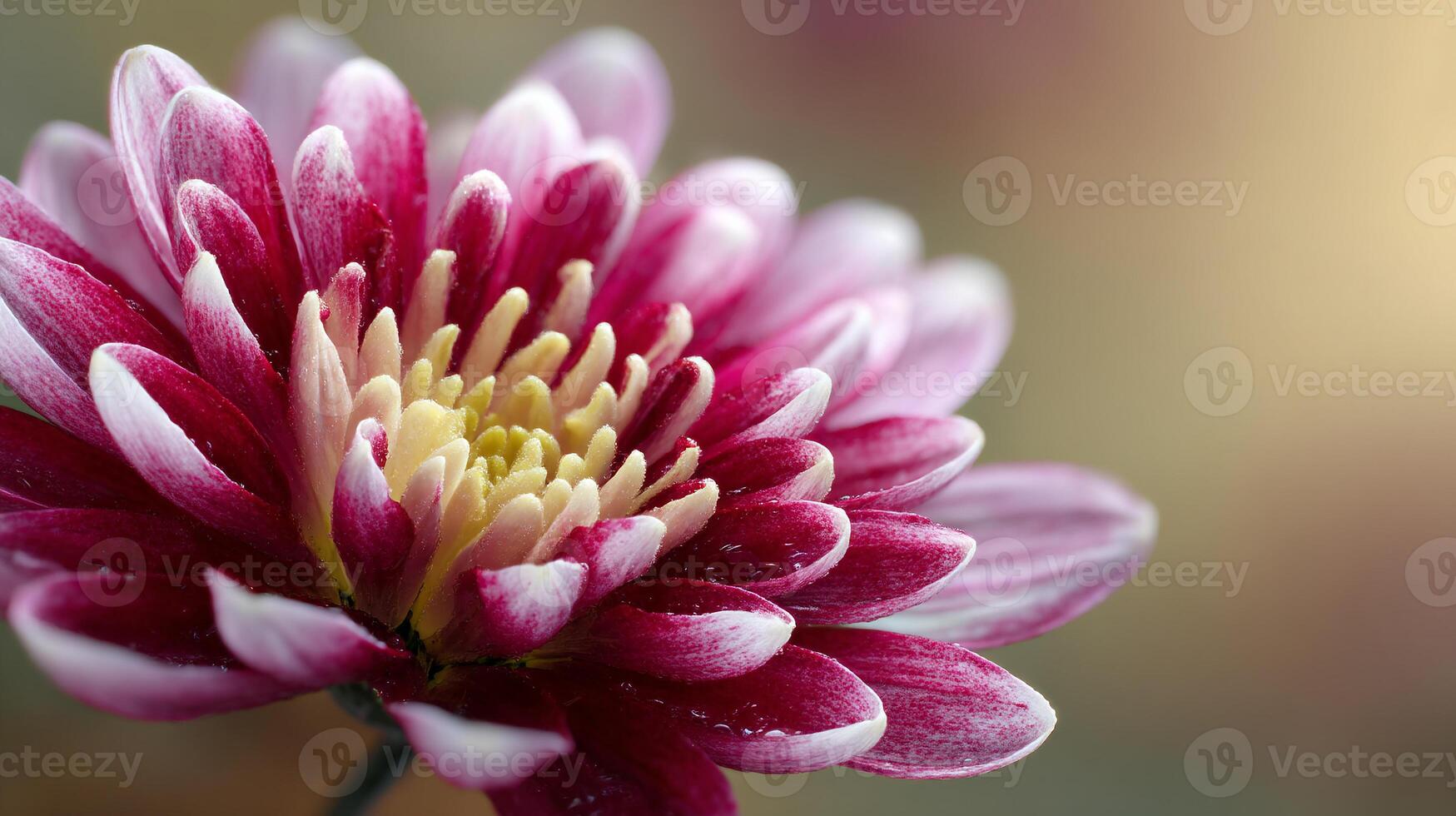 Fresh petals captured in macro natural scenery style photo