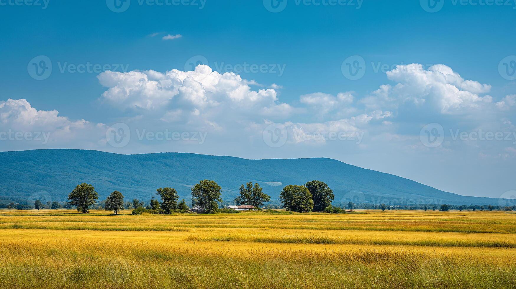 Bright summer background day in open green field photo
