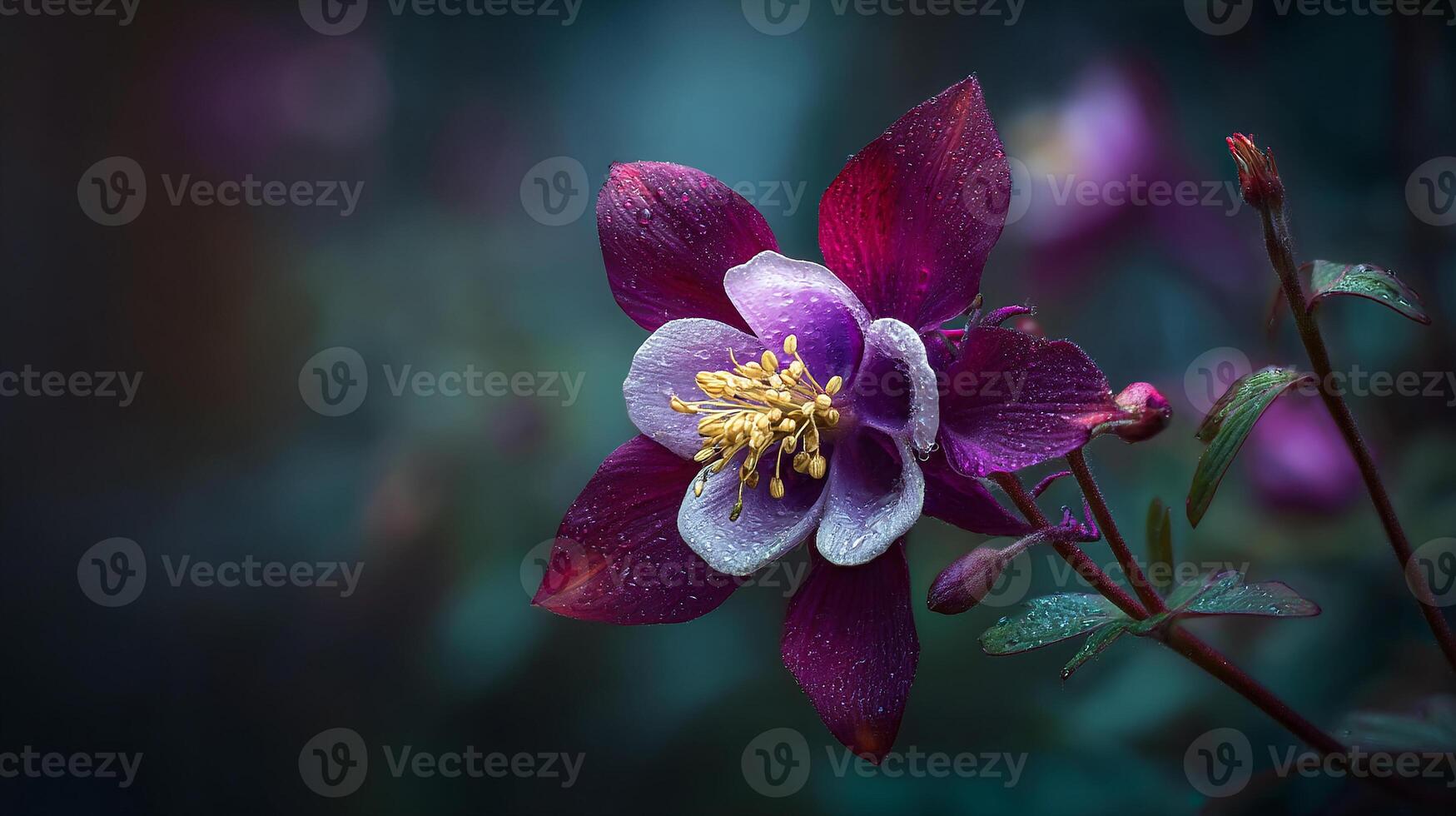 Natural setting behind blooming beautiful flower image photo