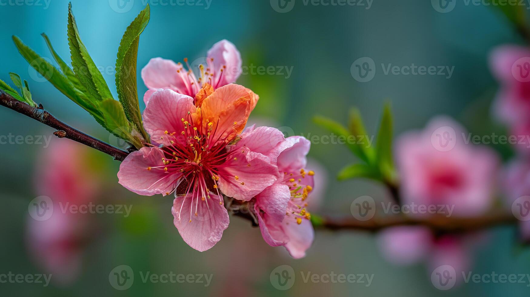 Tree photo of flower in macro with lifelike natural colors