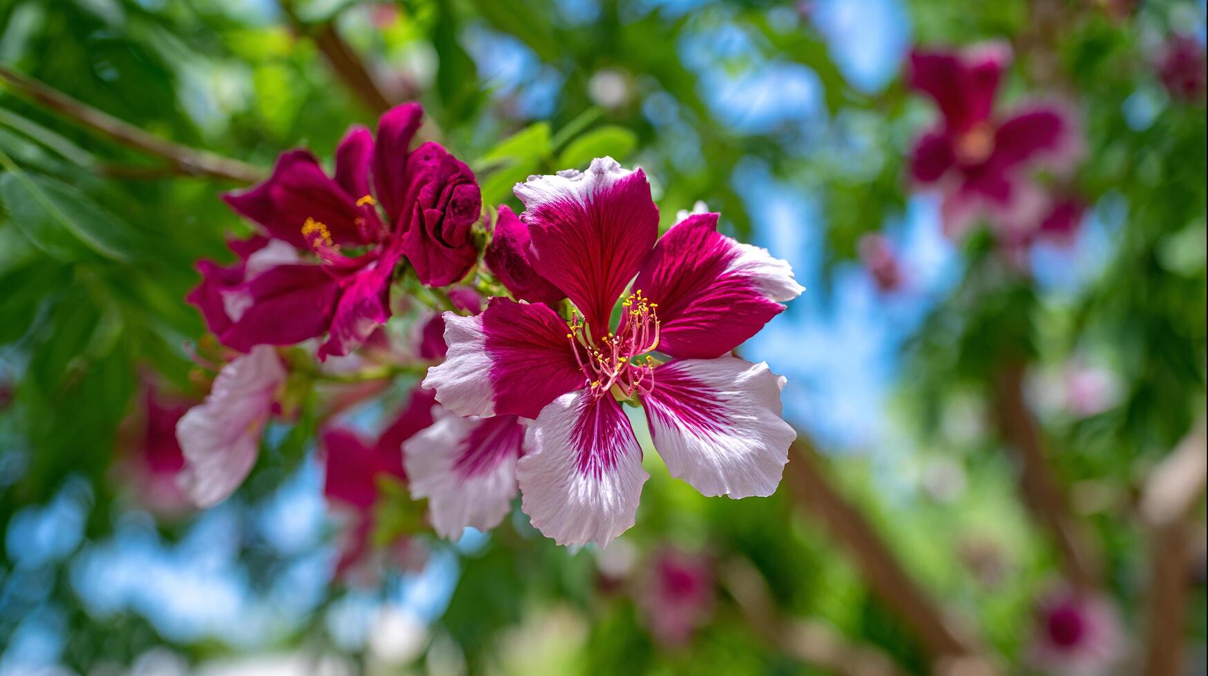 Glowing photo of flower captured in spring light on tree branch