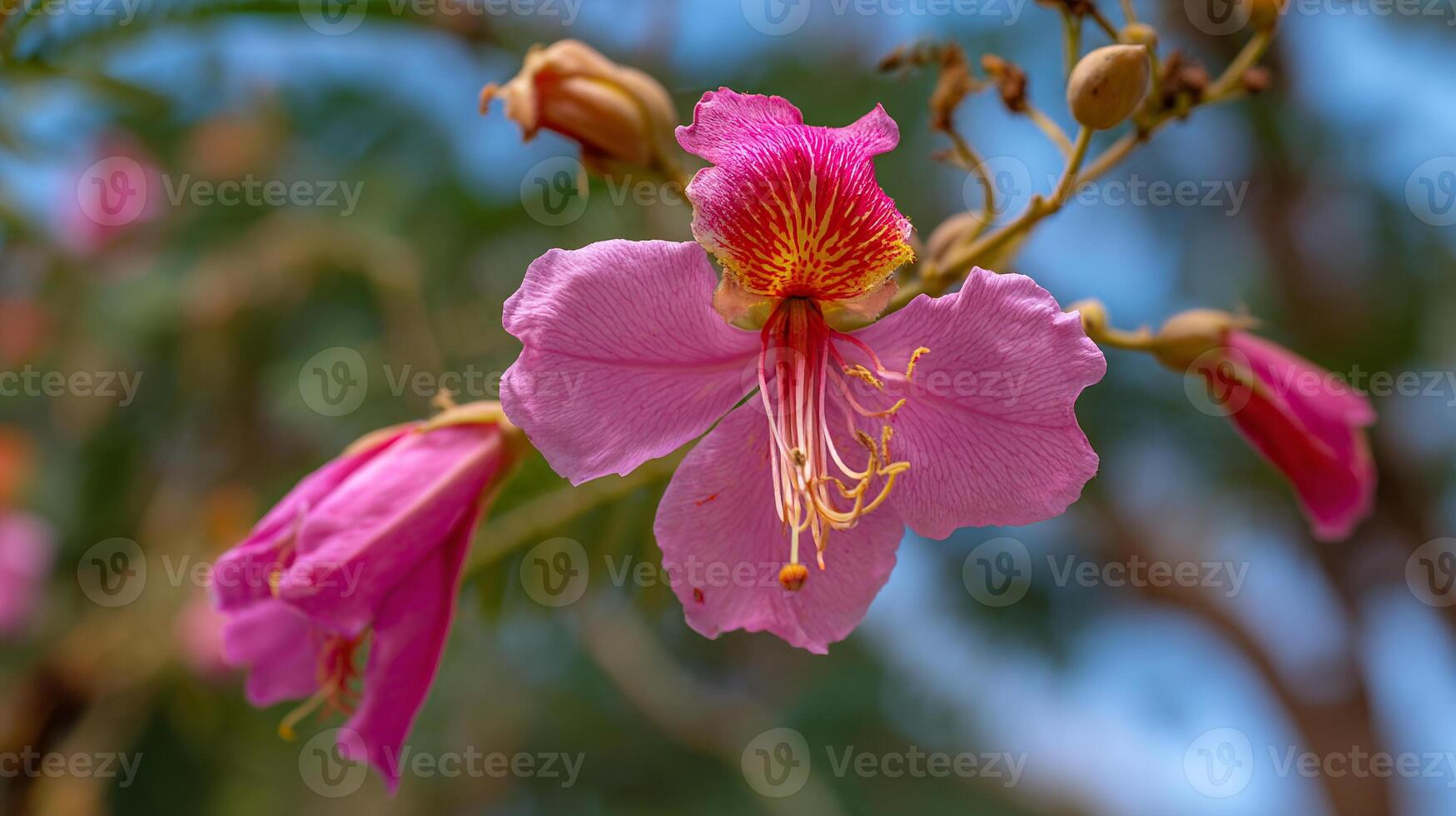 Tree flower glowing in vibrant photo of flower with realistic texture