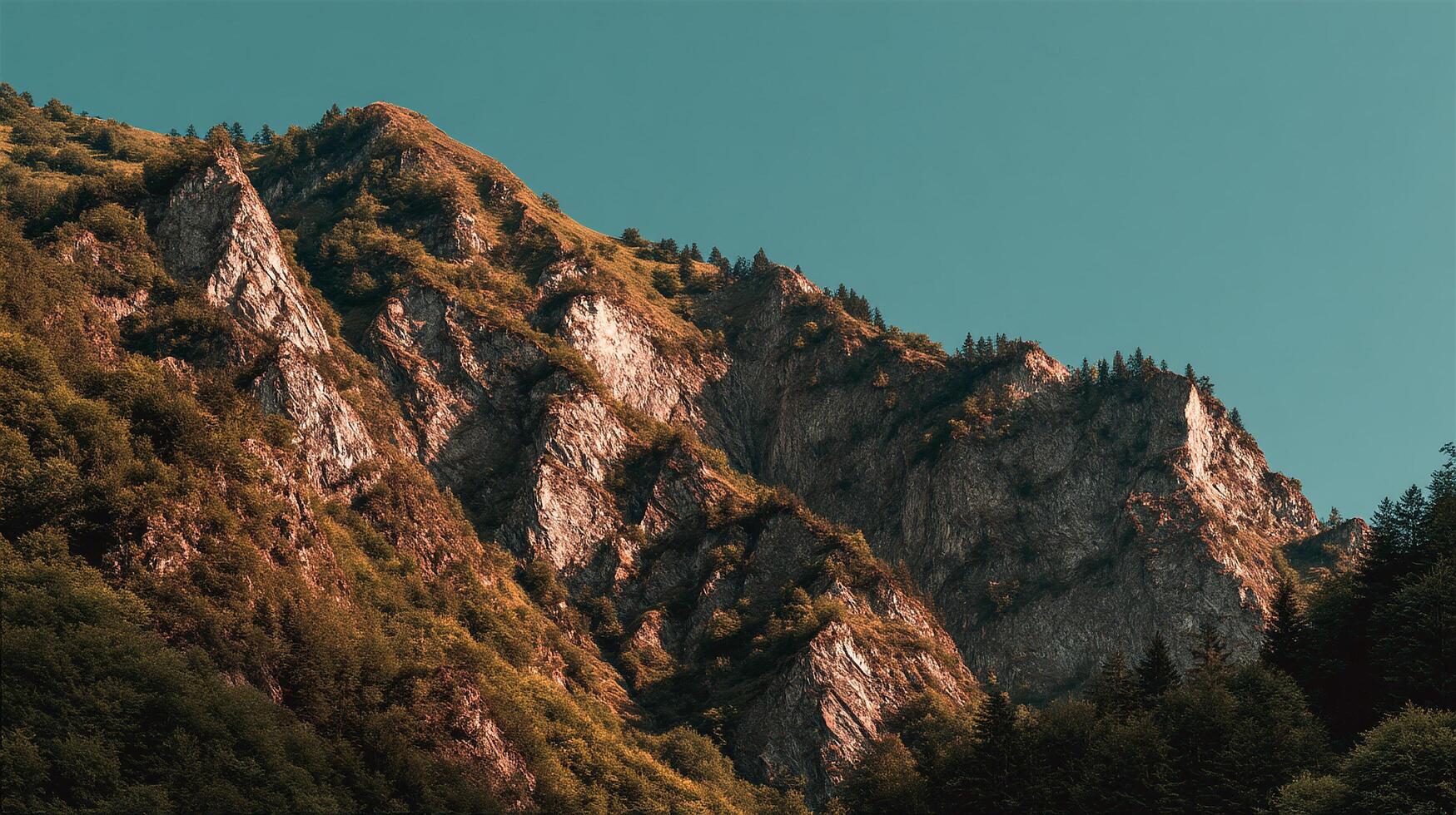 Lush and detailed natural scenery in high resolution with beautiful view photo