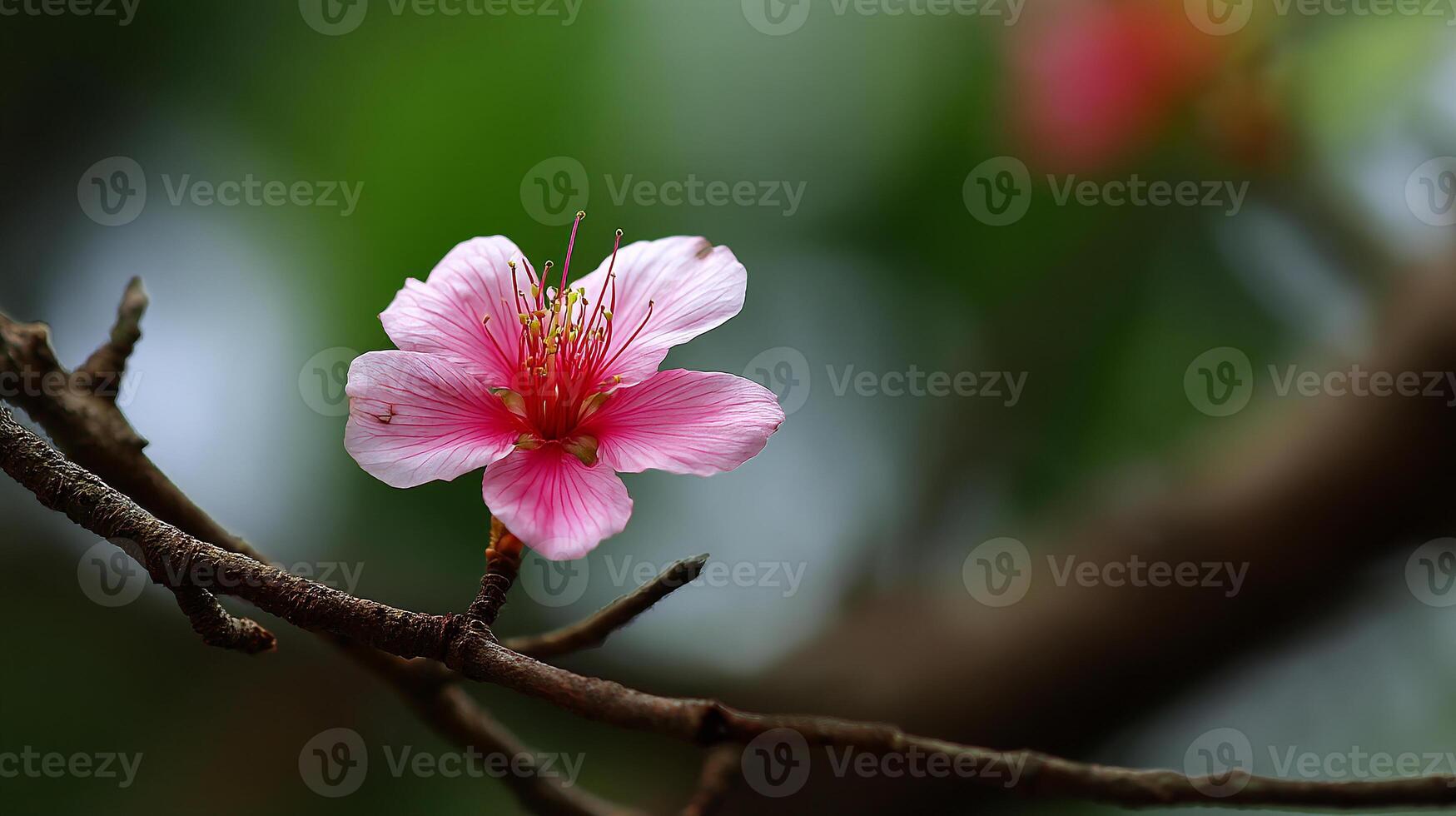 Ultra detailed macro flower photo with gentle bokeh