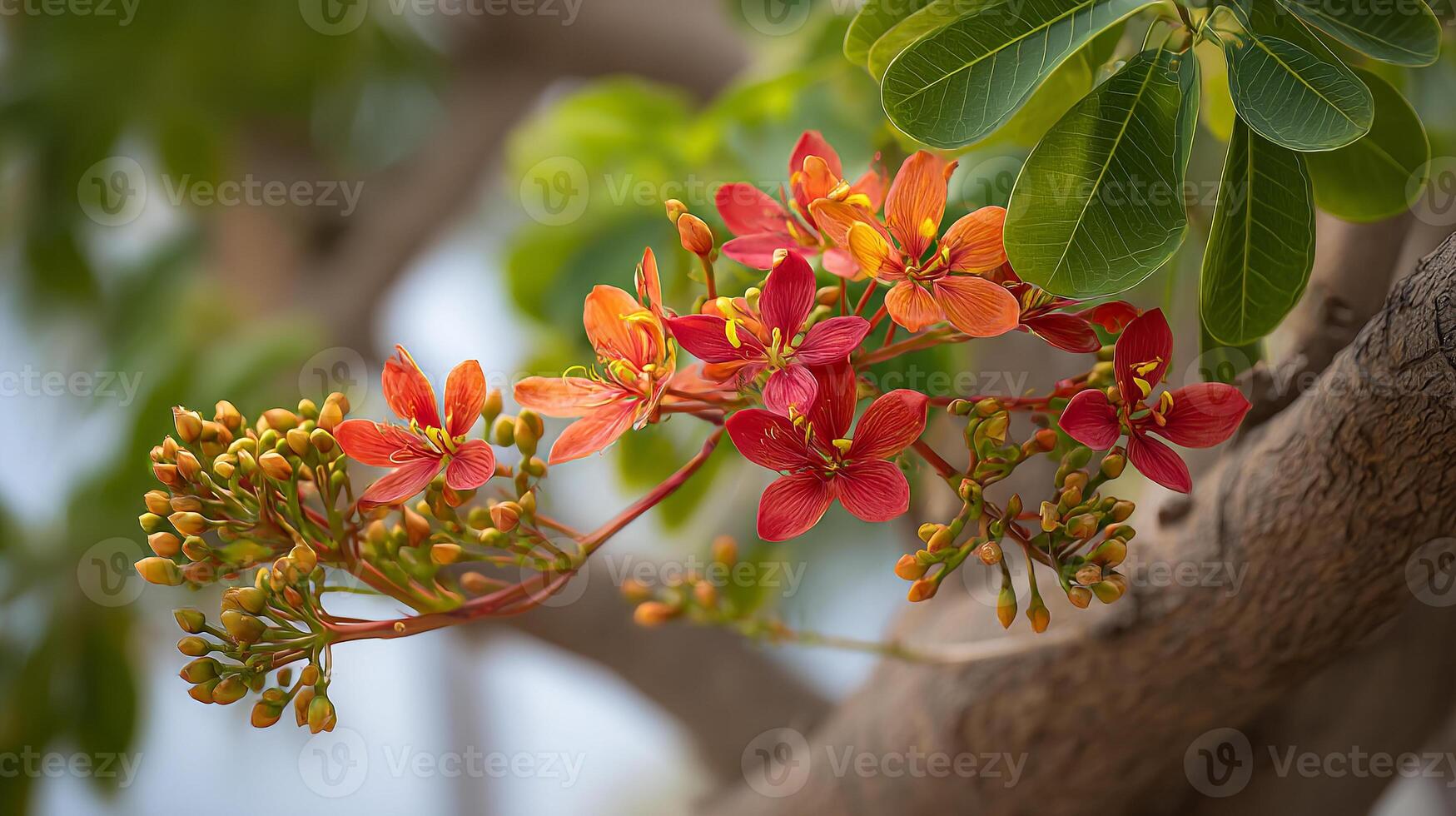 Vibrant natural background in this high detail flower photo