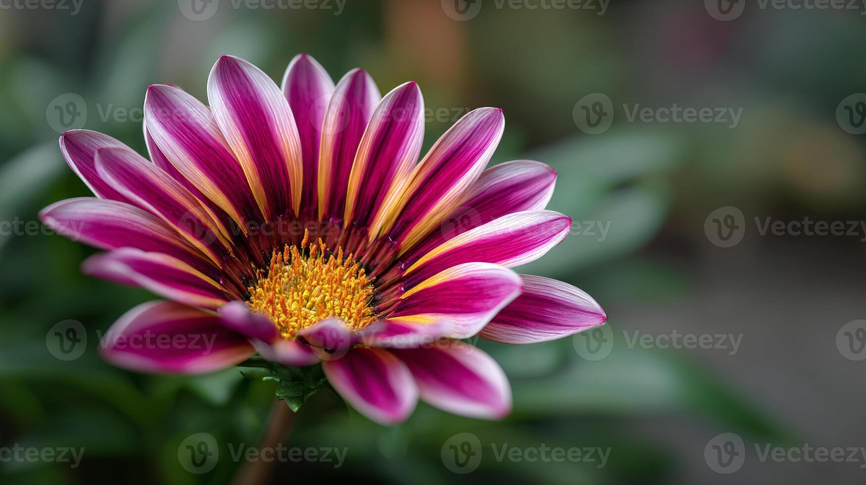 Crisp nature flower photo with beautiful clarity