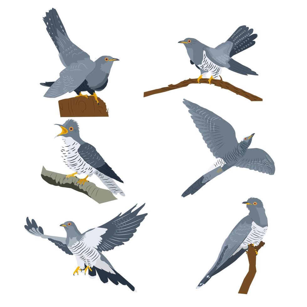 Illustration of birds on branches vector