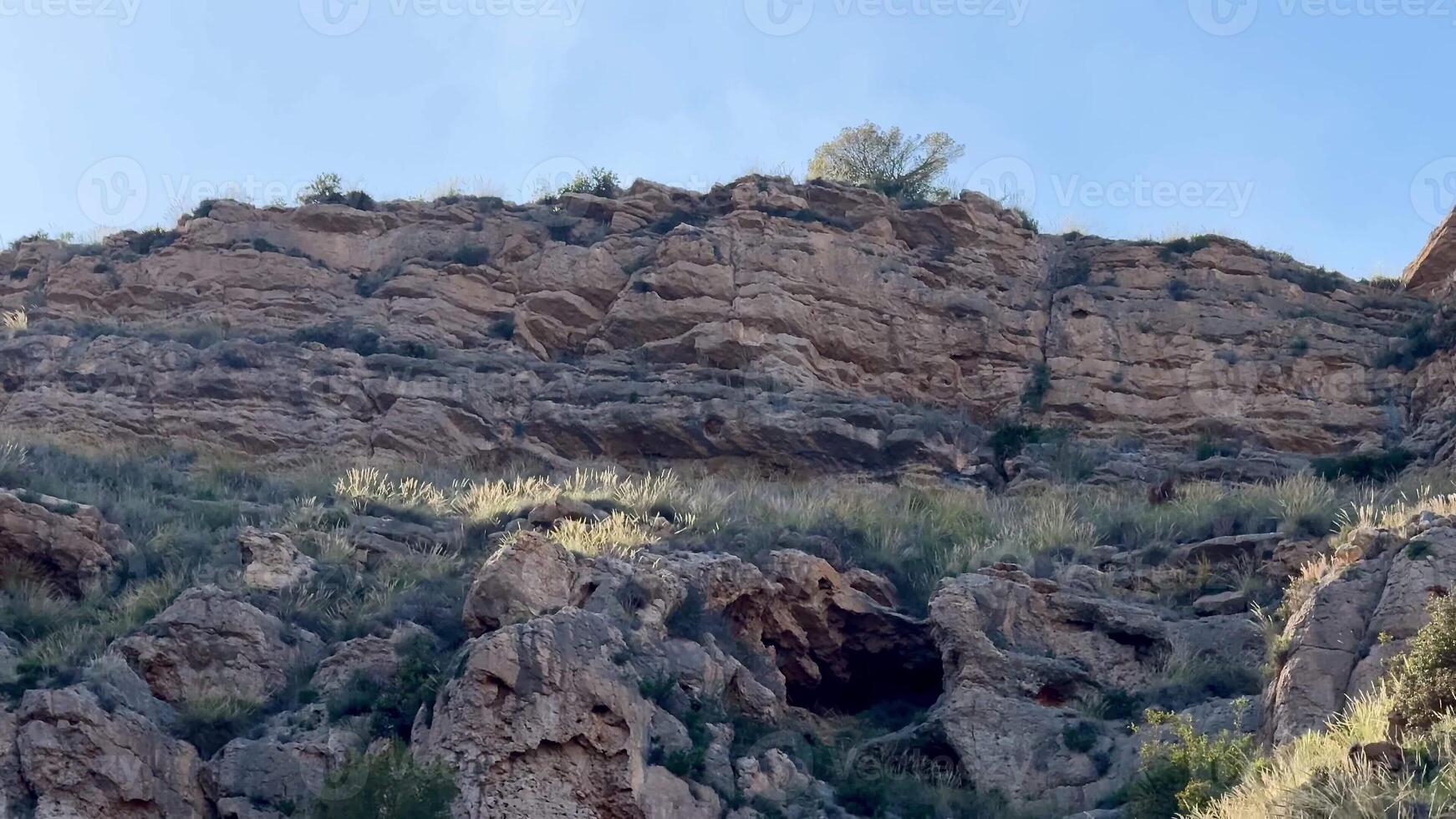 A stunning scenic rocky cliffside is beautifully adorned with vibrant lush vegetation and a prominent cave opening photo