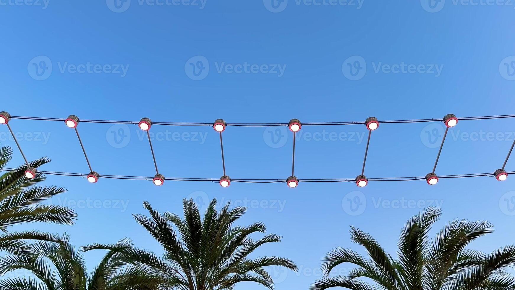A beautifully serene setting showcasing palm trees elegantly adorned with string lights set against a clear blue sky photo
