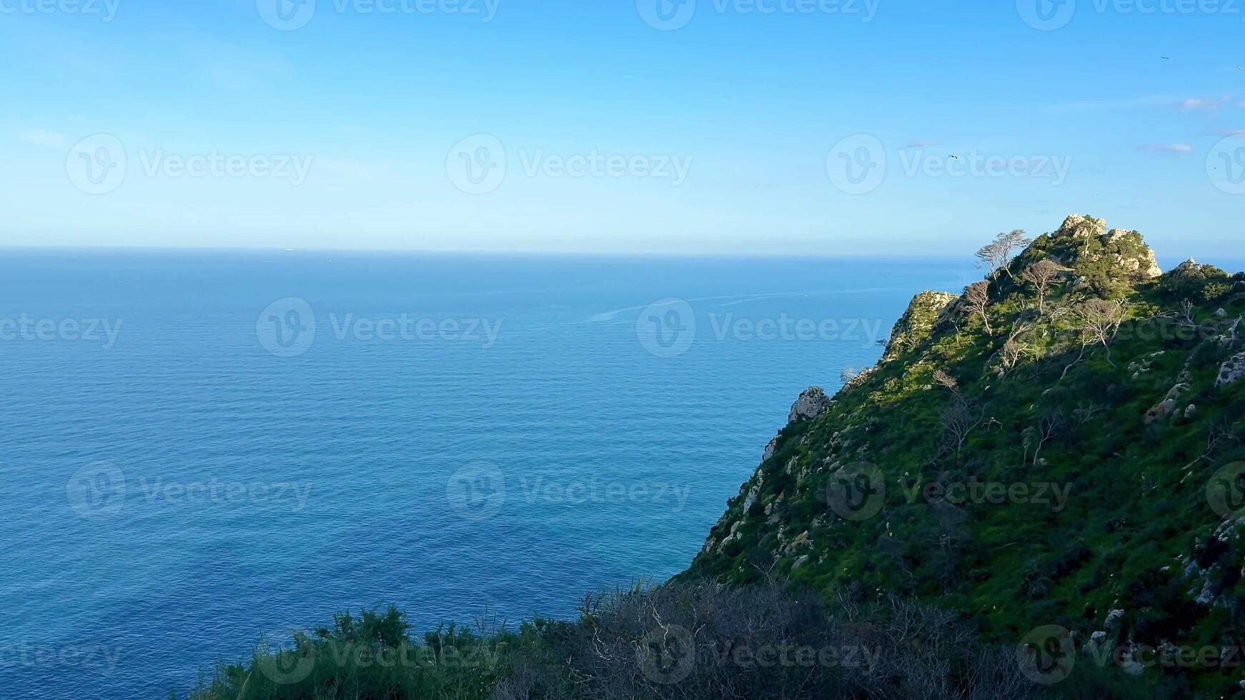 The breathtaking and stunning view of the vast ocean from a lush, green cliff under clear blue skies photo