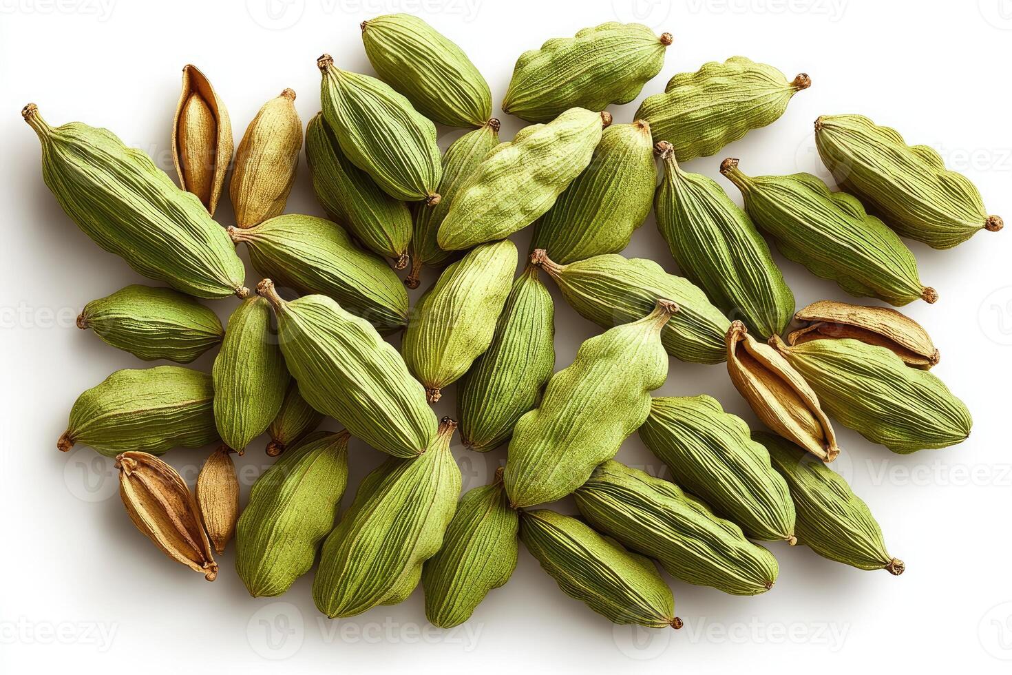 A close up image of fresh green cardamom pods photo