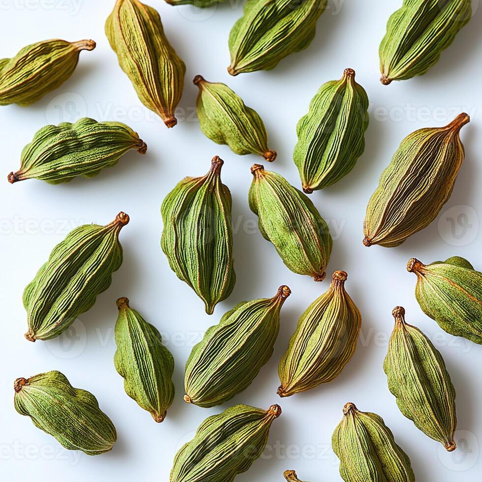 Several dried green pods scattered on a white blank surface photo