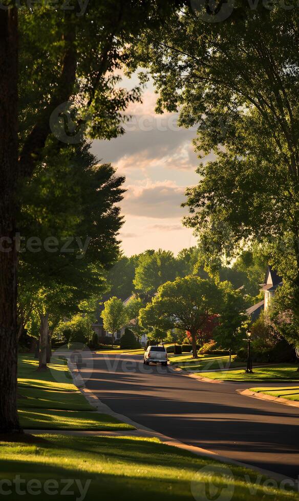 Scenic suburban street lined with mature trees casting long shadows on a peaceful summer evening photo