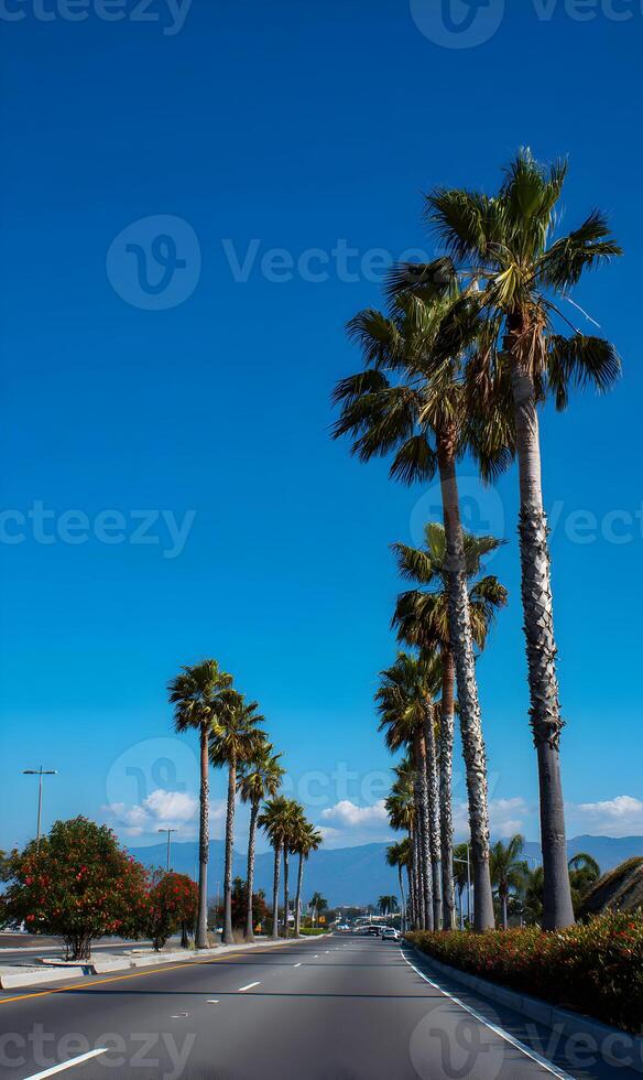 Scenic highway drive with towering palm trees against a clear blue sky and distant mountain views California photo