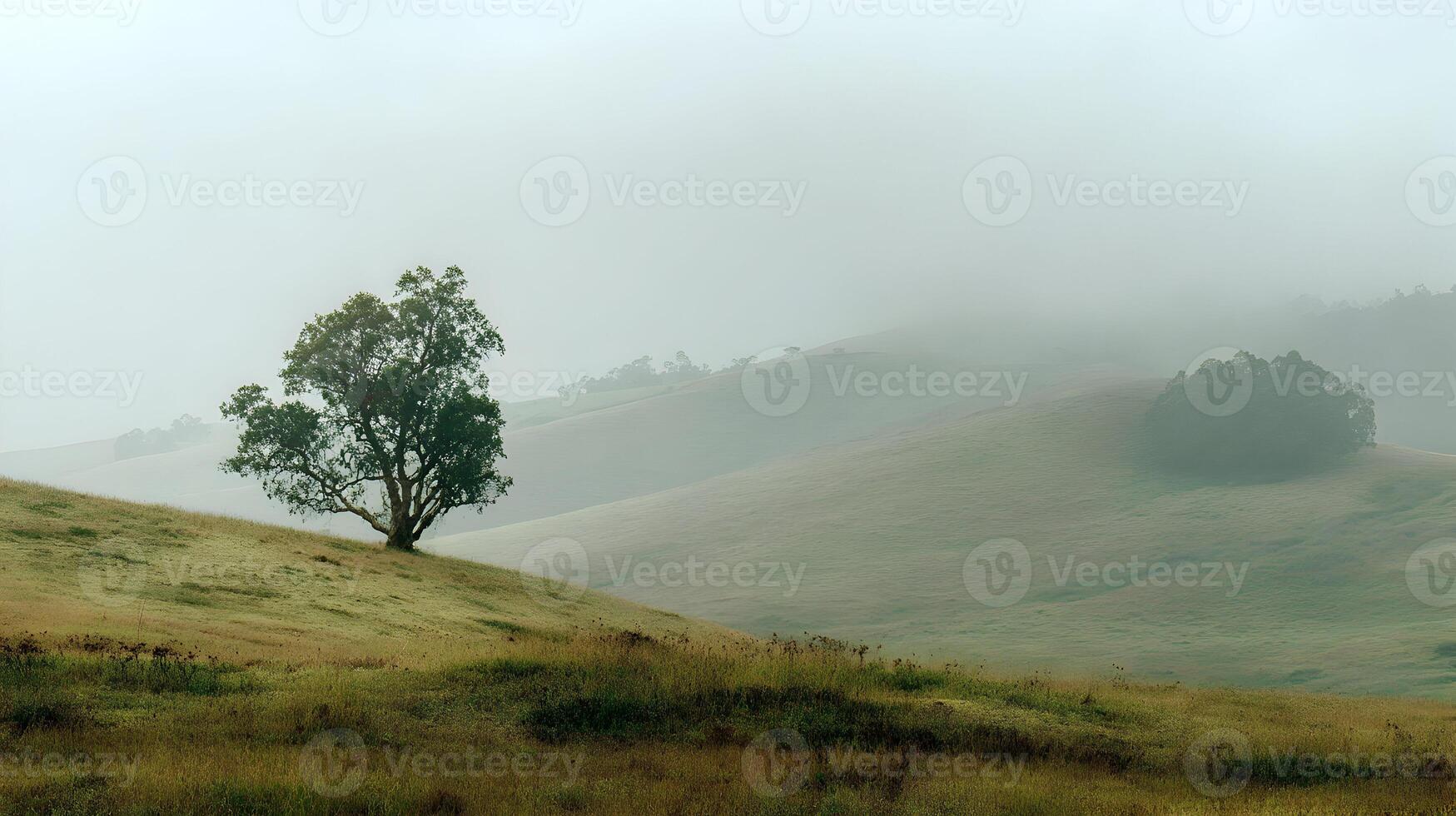 A solitary tree stands amidst rolling hills blanketed in a dense fog creating a serene atmosphere photo