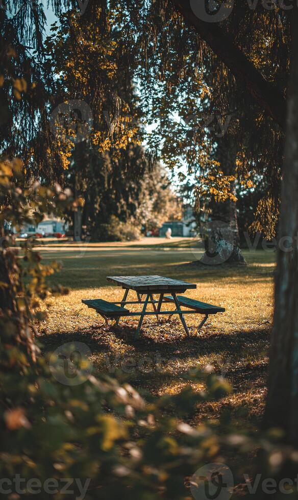 Peaceful picnic spot under the shade of trees inviting relaxation and outdoor enjoyment on a sunny day with nature's beauty photo