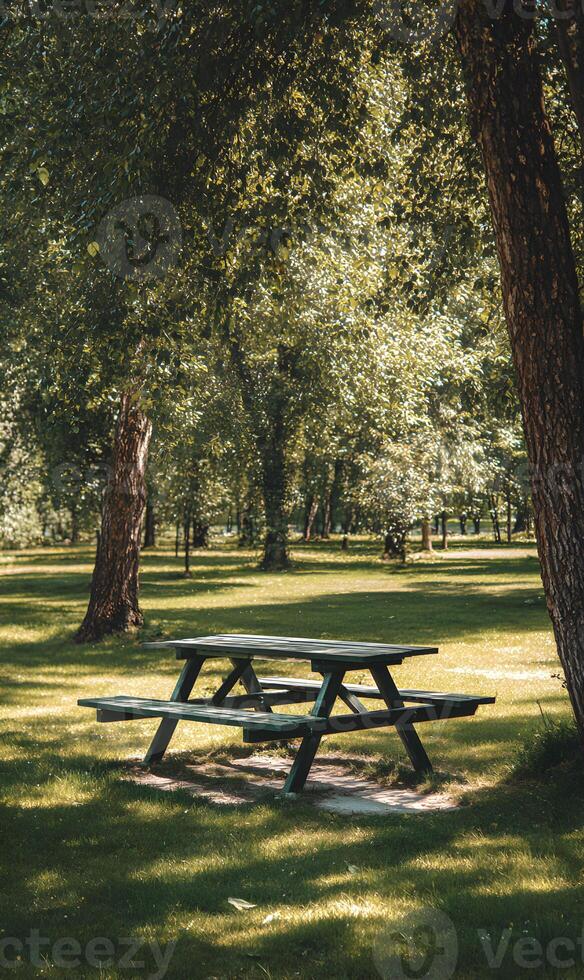 Serene picnic spot awaits beneath the dappled sunlight filtering through lush green trees in the park photo