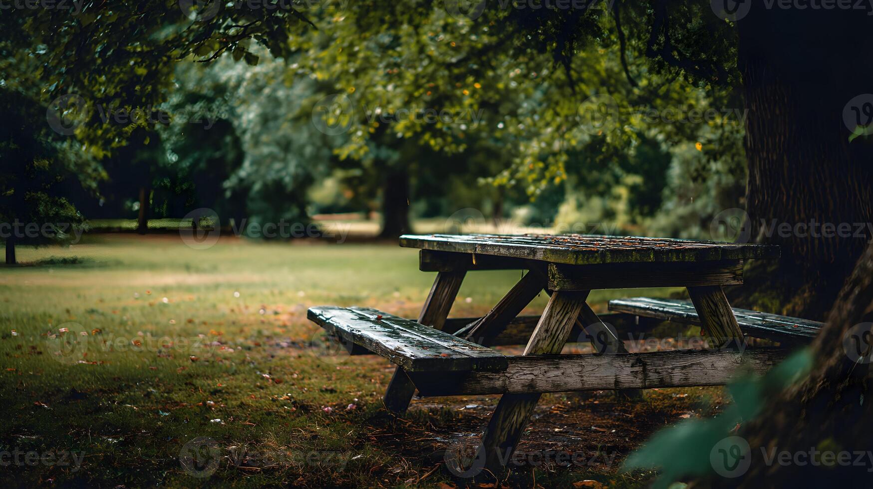 Secluded wooden picnic table under a tree canopy inviting relaxation in a serene park setting photo