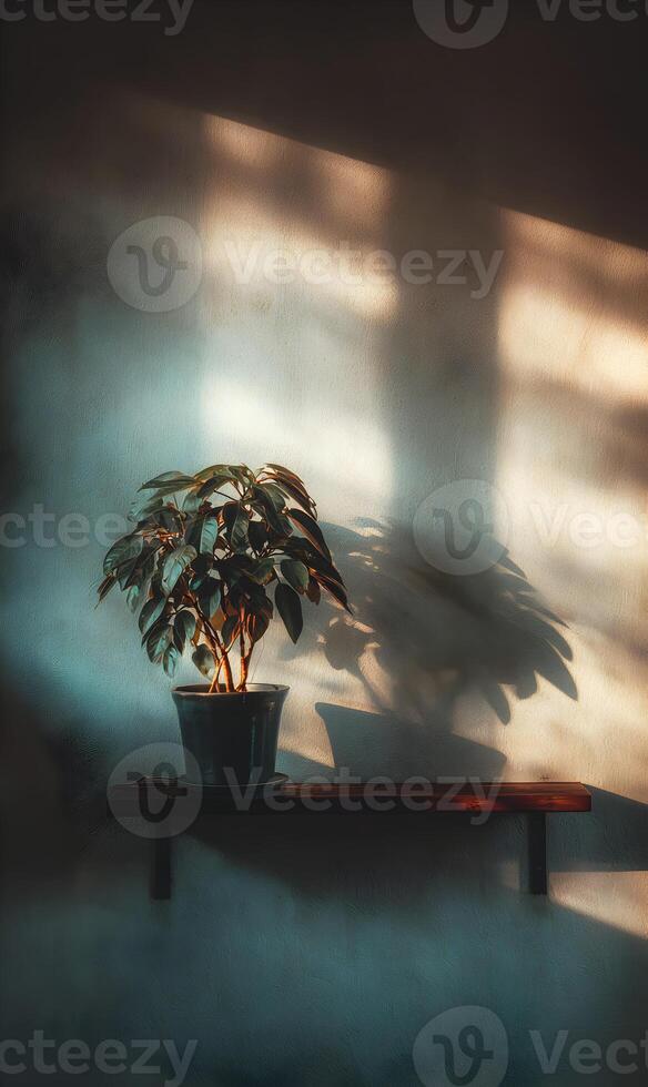 Illuminated serenity a plant bathed in ethereal light showcases natural beauty against a textured backdrop adding warmth photo
