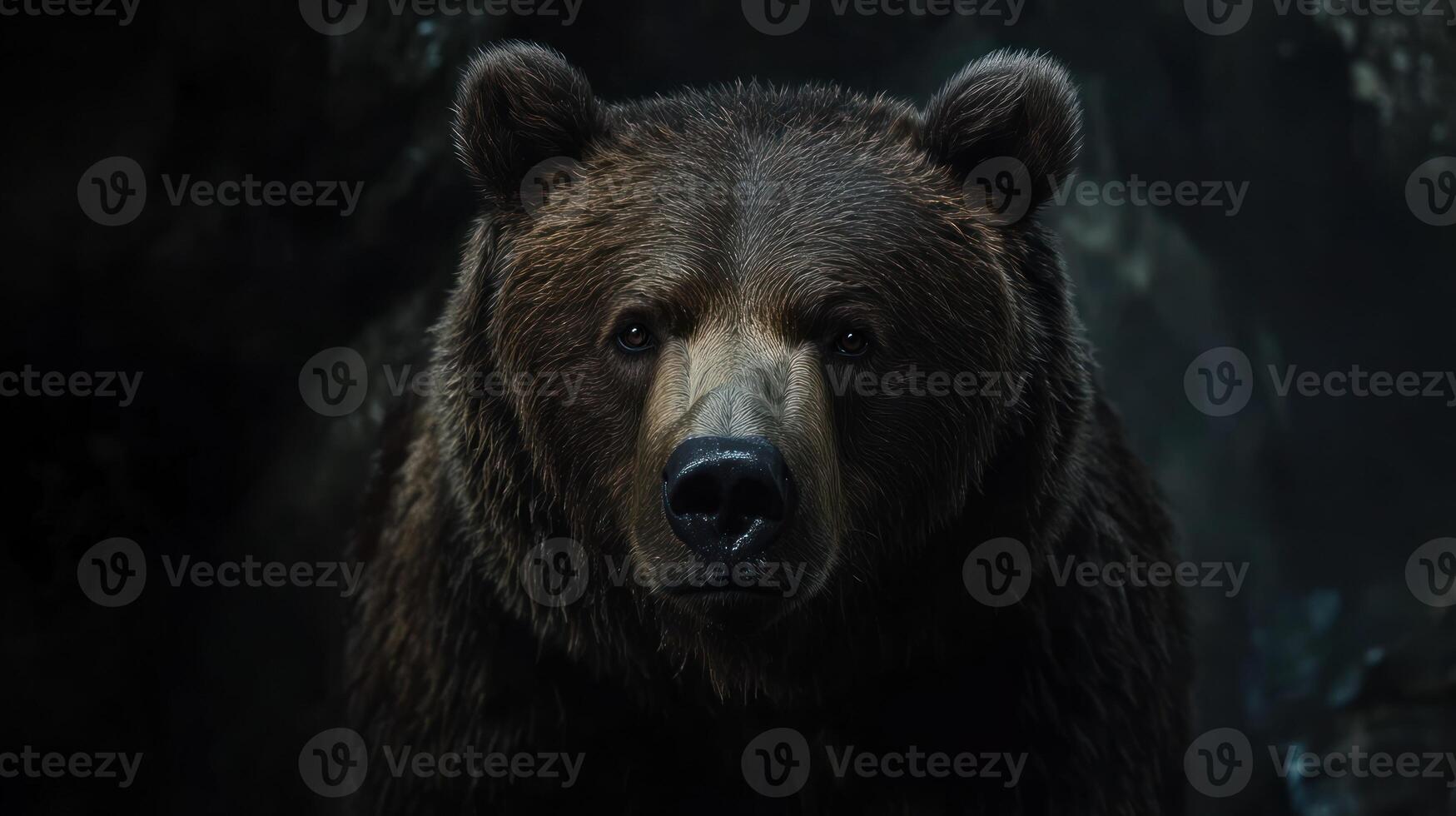 A brown bear is staring into the camera photo
