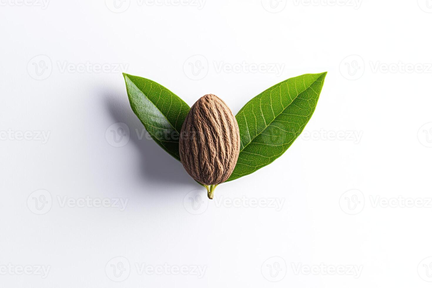 Almond with green leaves on white background photo