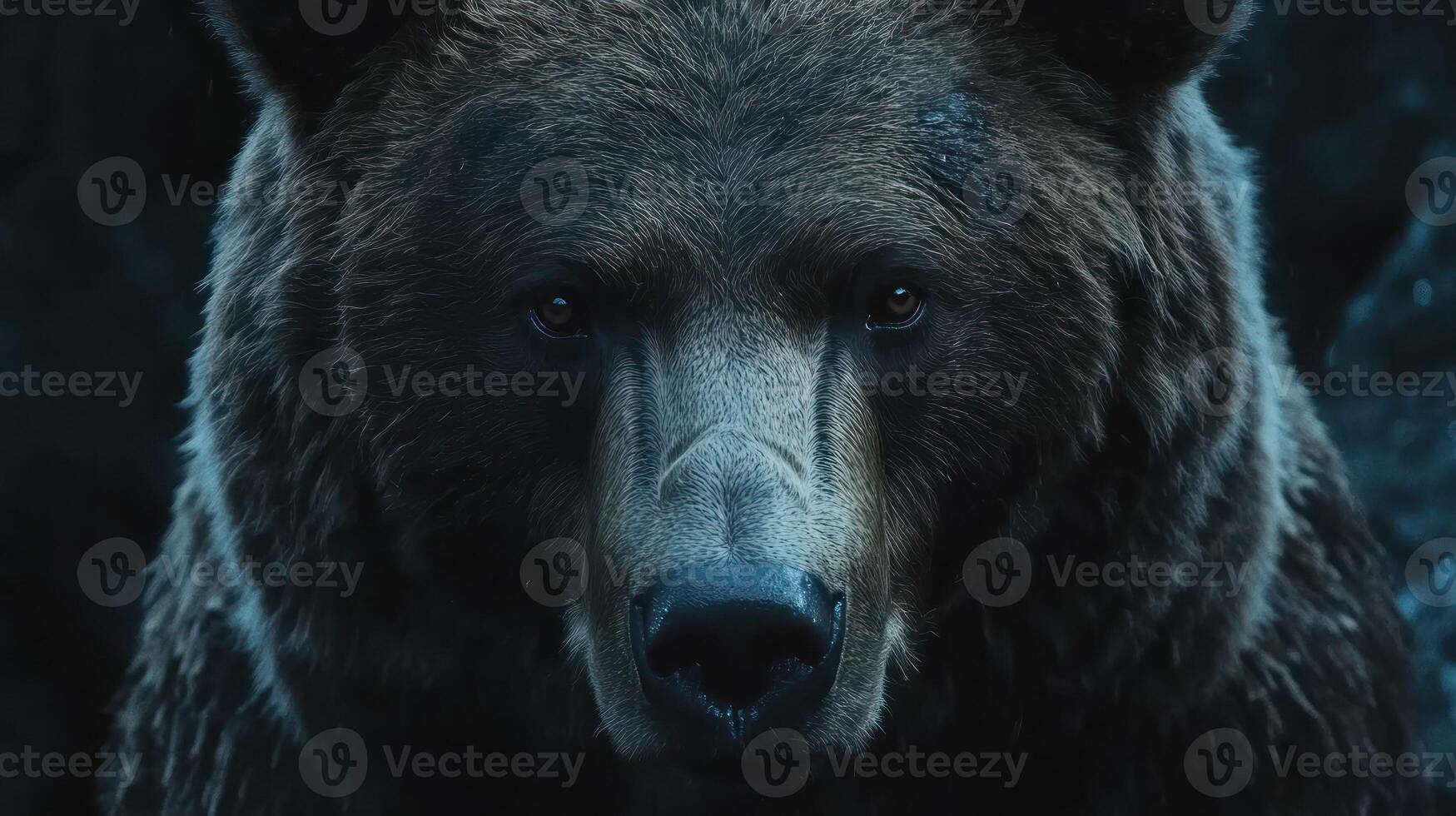 A close up of a brown bear with dark eyes photo