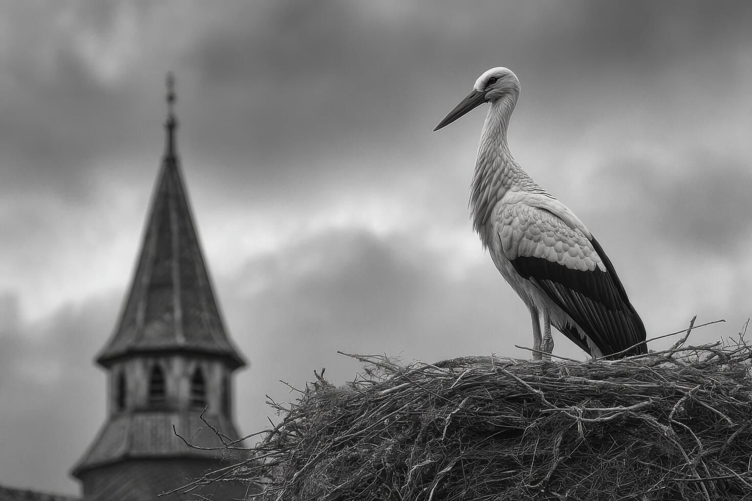 A stork stands elegantly on its nest beside a quaint tower, set against a dramatic cloudy backdrop creating a striking view photo