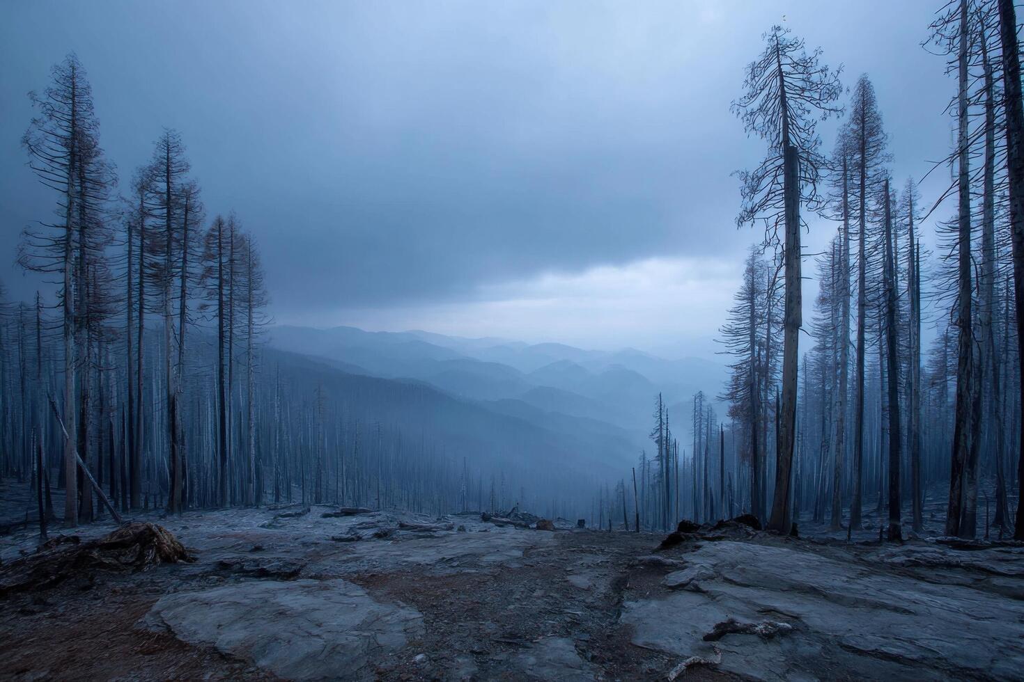 Desolation prevails in a burnt forest with blackened trees, rocky terrain, and distant blue mountains beneath a gloomy sky photo