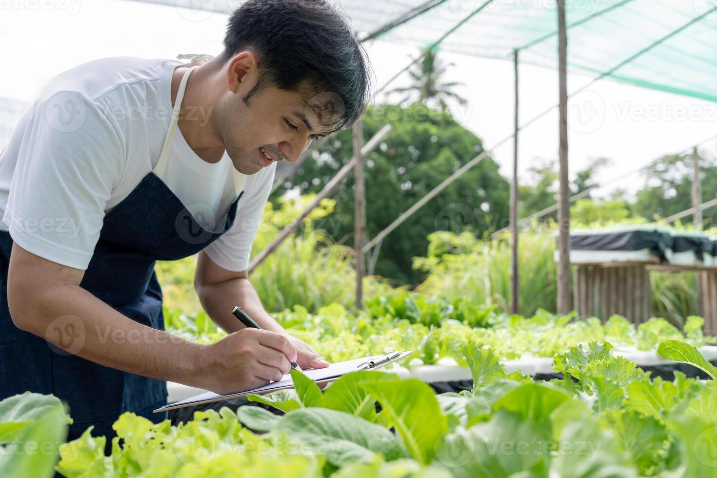 Organic farming, vegetable farm. recheck quality record on data on checklist. grow naturally, Ecological Biological, Healthy, Technology, non toxic, harvest, scientific , academic photo