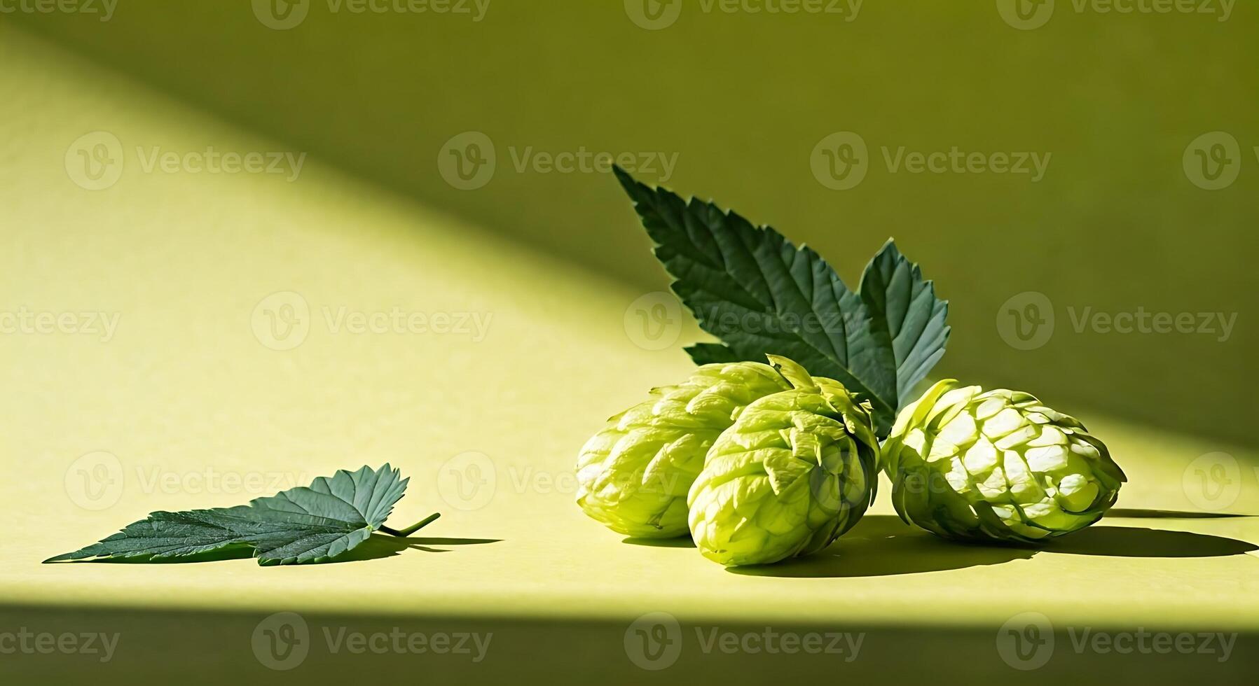 Hops on a green background by joseph mcclure for stocksy united photo