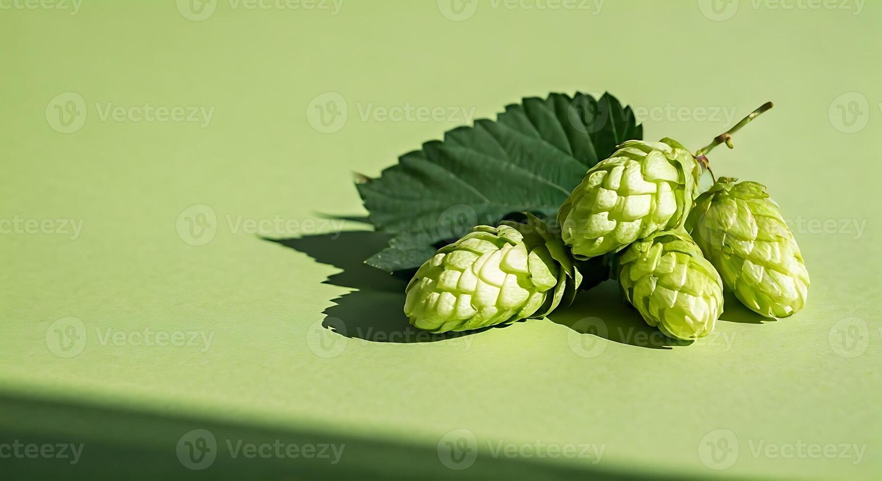 Hops on a green surface by joseph krajewski for stocksy united photo