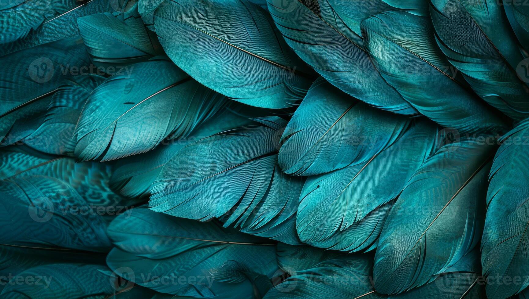 Soft turquoise feathers form a beautiful and textured arrangement, showcasing the intricate designs and natural elegance of the avian world photo