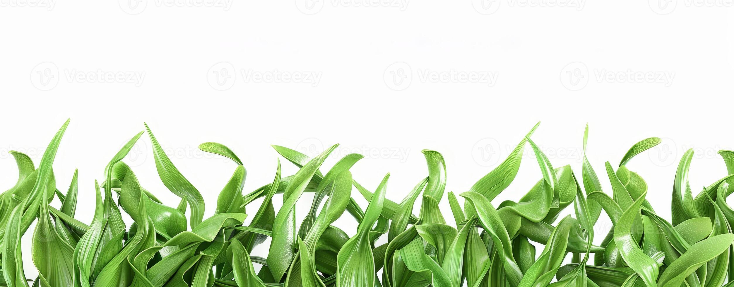 Lush green grass with vibrant blades stretches gracefully, forming a lively border that enhances any space with freshness and vitality photo