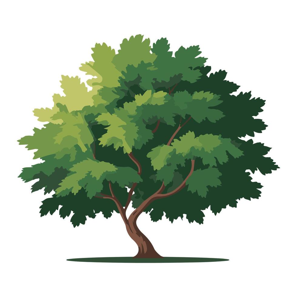 Illustration of a Green Leafy Tree with Dense Foliage and Curved Trunk on White Background vector