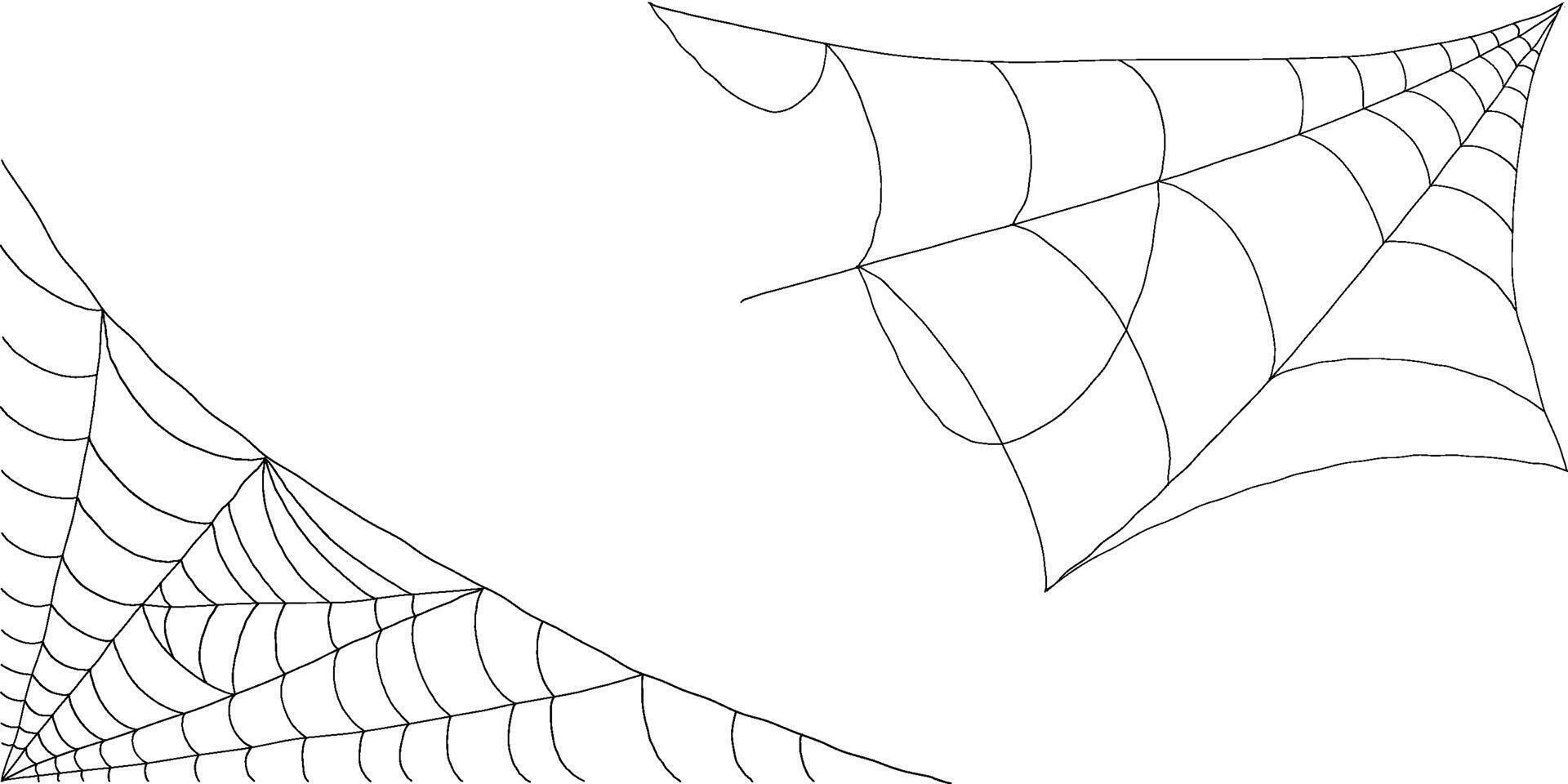 Corner cobweb silhouette elements spooky spider web collection for horror design vector