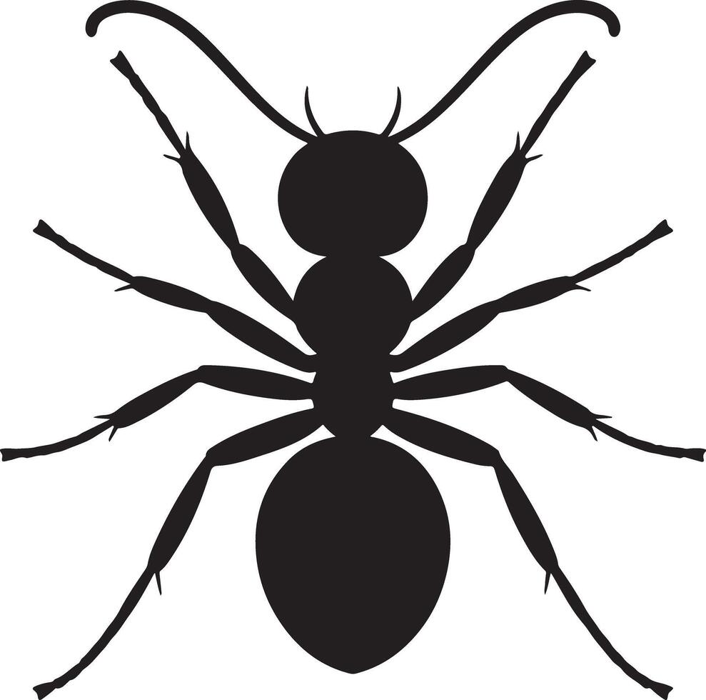 Black Silhouette of an Ant Detailed View Showing Six Legs Antennae and Body Segments Isolated on White Background Graphic Illustration vector