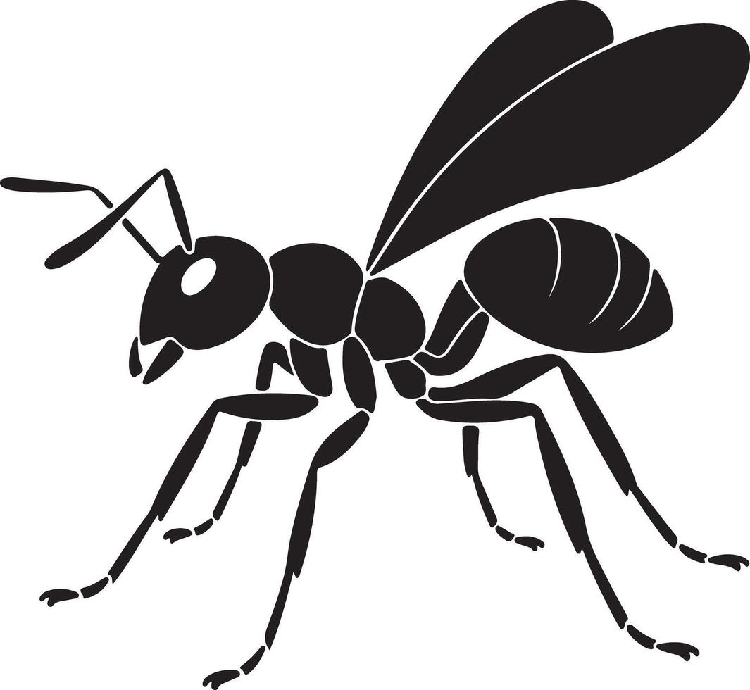 Black Silhouette of an Ant with Wings Detailed Illustration Showing Body Segments Legs and Antennae Against White Background vector