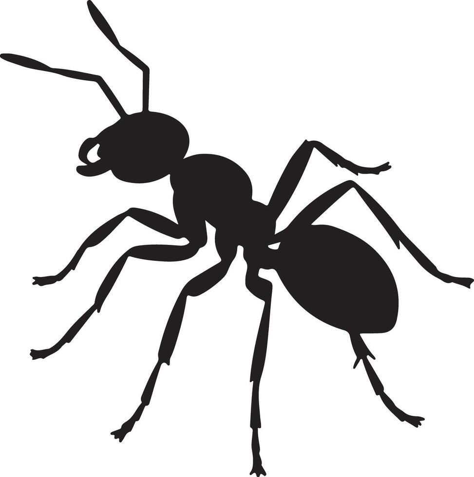 Black Silhouette of an Ant Detailed Illustration Showing Six Legs Antennae and Body Segments on White Background 1 vector