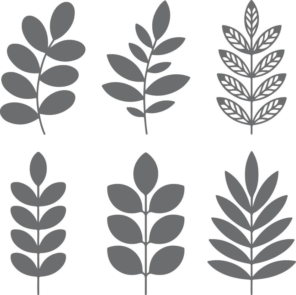 Six Gray Silhouette Leaf Branch Designs Botanical Illustrations Simple Nature Greenery Elements Set vector
