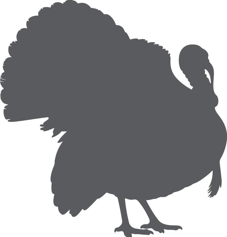 Dark Gray Silhouette of a Turkey Bird Standing Profile View Detailed Feathers Tail vector