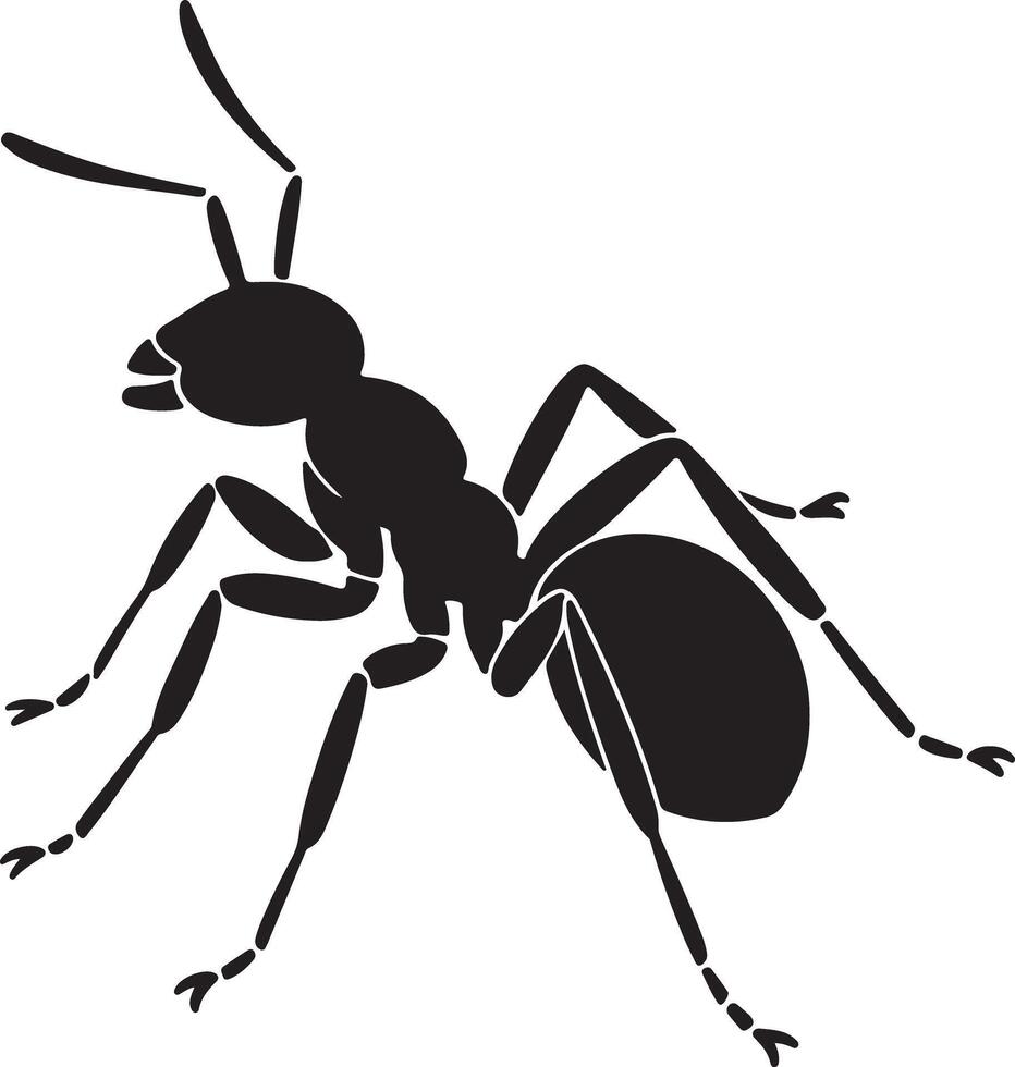 Black Silhouette of an Ant Detailed Illustration Showing Six Legs Antennae and Body Segments on White Background vector