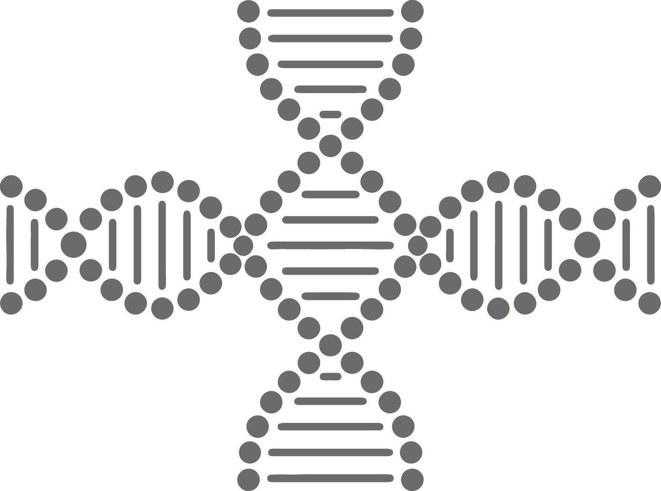 Gray Scale D N A Double Helix Structure Silhouette Icon Graphic Design Element Four Strands Connected Circles Lines Medical Science Biology vector