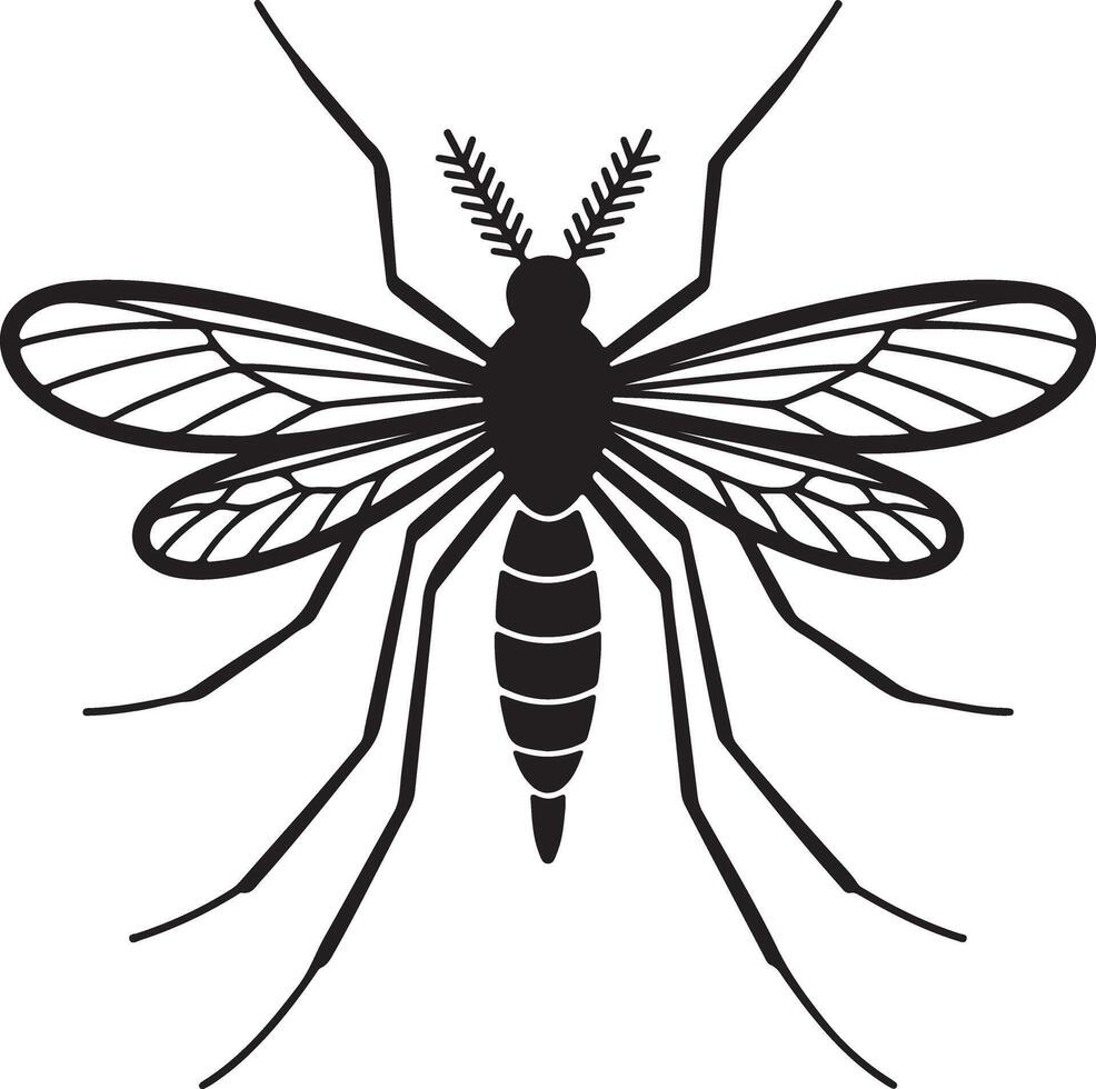 Black Silhouette of a Mosquito Detailed Illustration Showing Wings Legs Body Segments Antennae vector