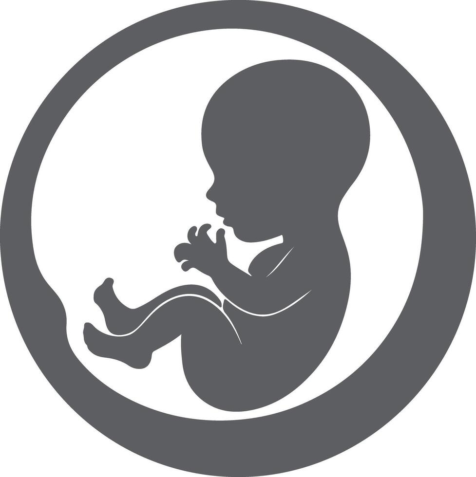 Grey silhouette of a fetus in a womb a simple graphic design representing pregnancy and new life a minimalist illustration of a baby in utero a vector