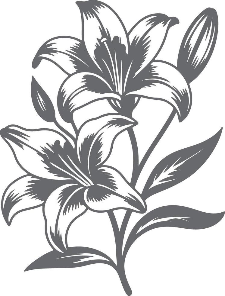 Gray Scale Silhouette Illustration Two Lilies Flower Stem Leaves Botanical Floral Design Element vector