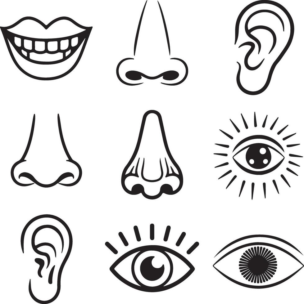 Nine Black and White Line Drawings of Human Sensory Organs Mouth Nose Ear Eye Silhouettes Simple Illustrations vector