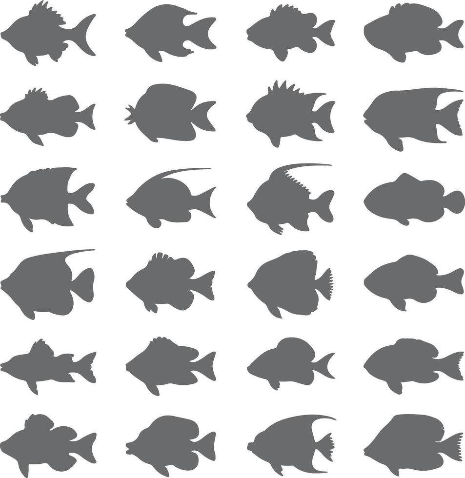 Collection of Grey Fish Silhouettes Diverse Aquatic Life Forms Simple Gray Fish Shapes Set of Various Fish Species Gray Scale Fish Icons vector