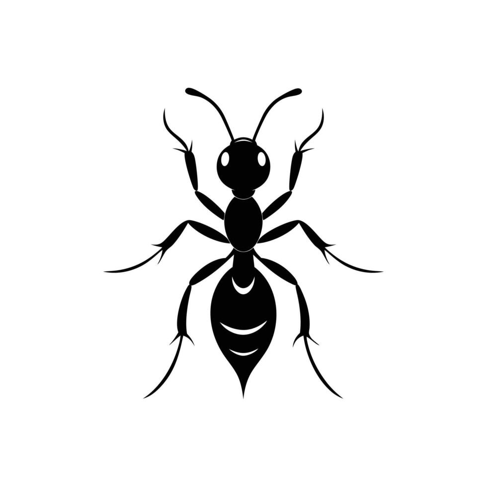 Black ant illustration vector