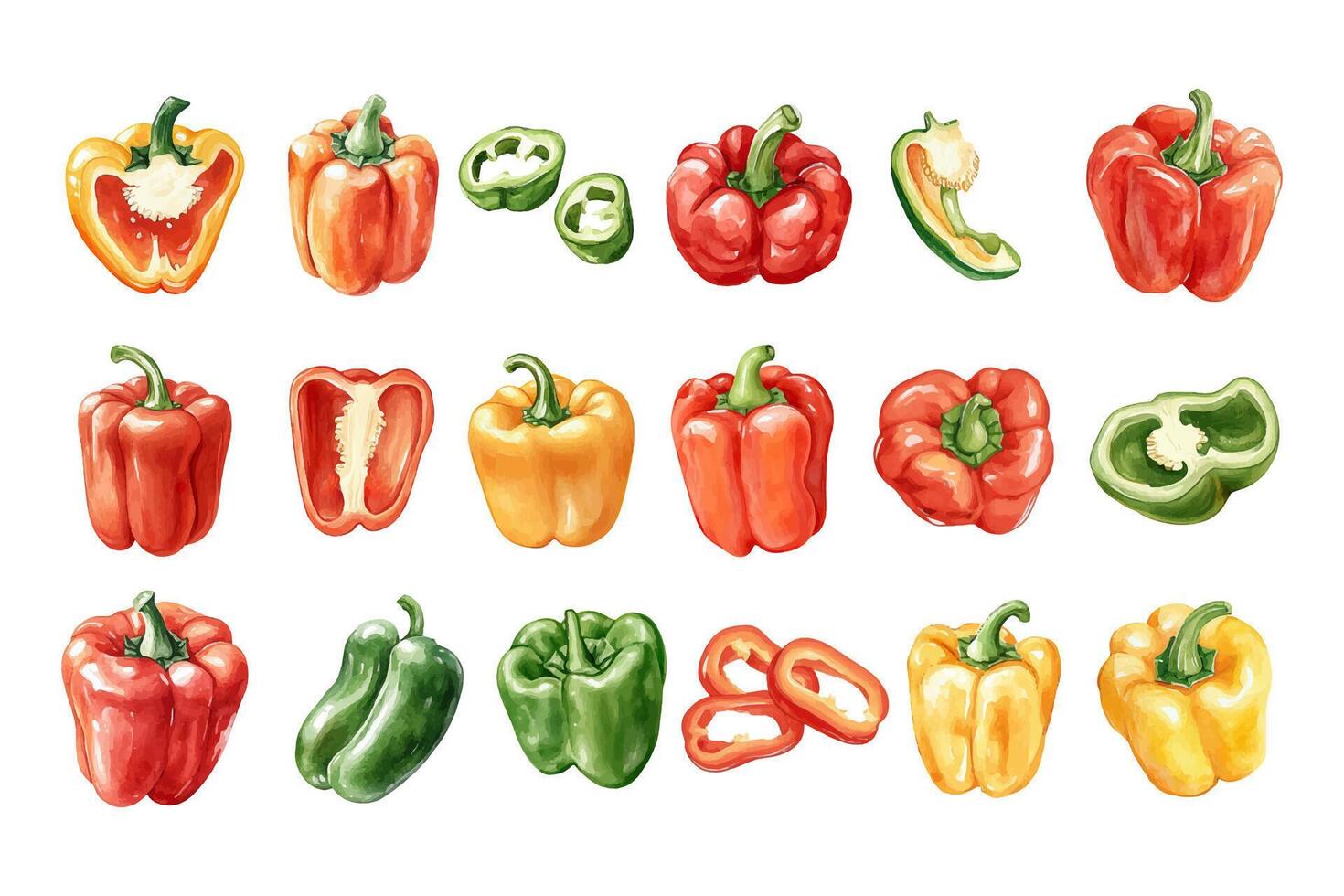 Diverse bell peppers in multiple colors vector