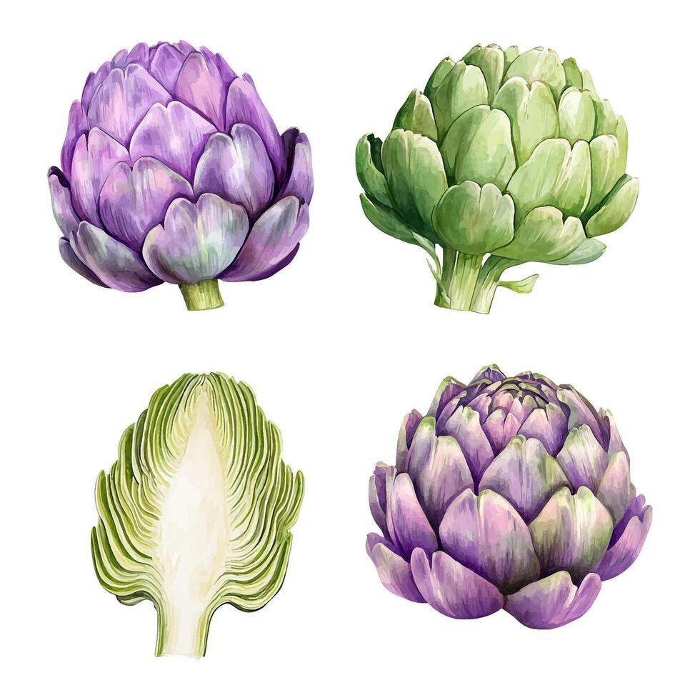 Variety of colorful artichokes displayed vector